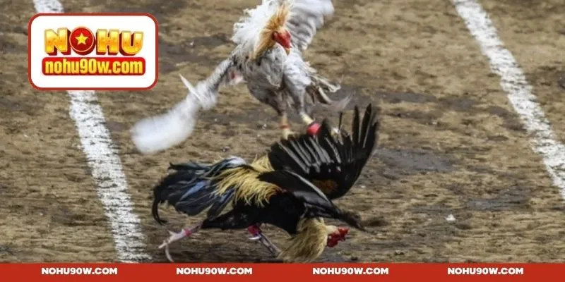 Quy định thời gian cho mỗi trận đấu kê